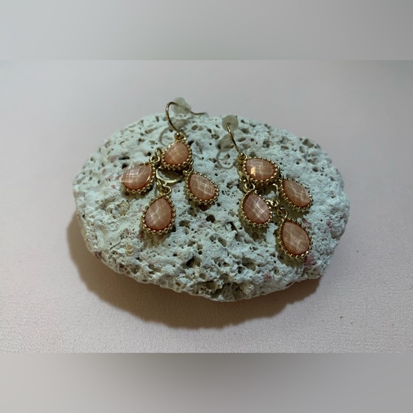 Coral Earrings - Picture 1 of 2